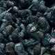 Illustration for article titled One Massive Chart Tallies Up Every Death In the First Five Seasons of Walking Dead and Game of Thrones
